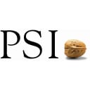 PSI Automotive & Industry Austria GmbH logo